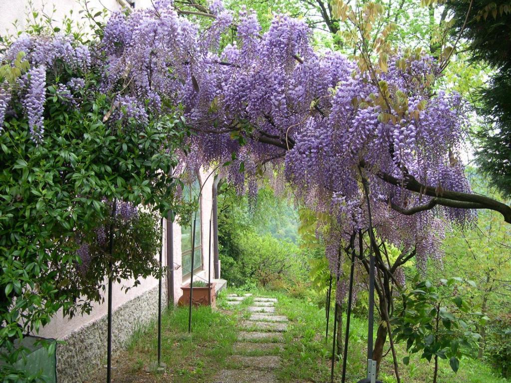 B&B Four Winds Follina Exterior foto